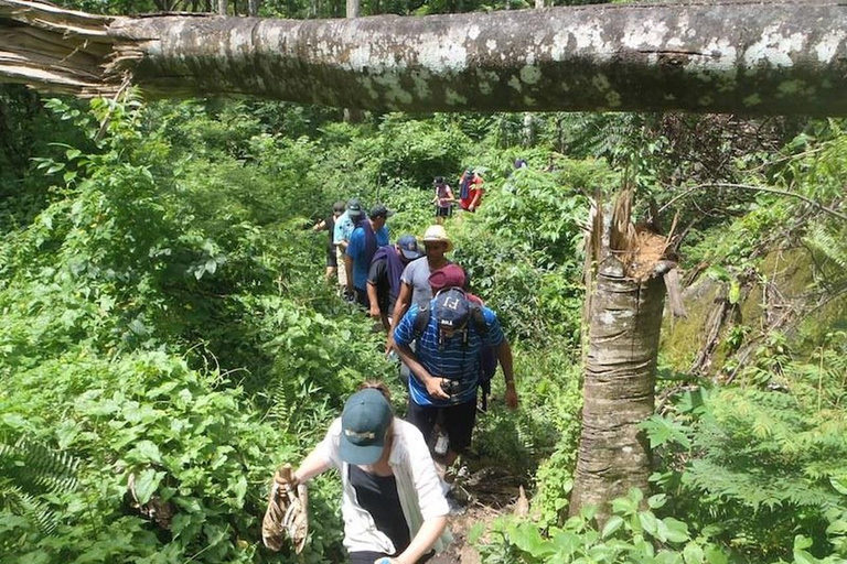 Jardin d&#039;orchidées de Nadi, randonnée dans les cascades avec source d&#039;eau chaude et bain de boueFidji Marriott/Queens Wharf Lautoka/Prise en charge au Tanoa Waterfront