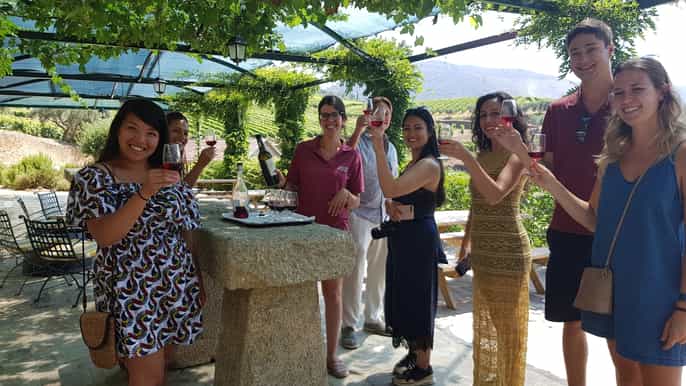 from porto douro valley 3 vineyards tour with lunch