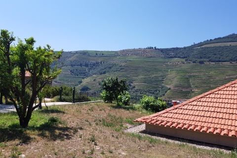 From Porto: Douro Valley 3 Vineyards Tour with Lunch
