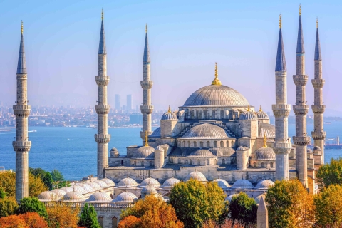 Istanbul: Ganztägige FührungTour auf Französisch mit Mittagessen & Hotelabholung