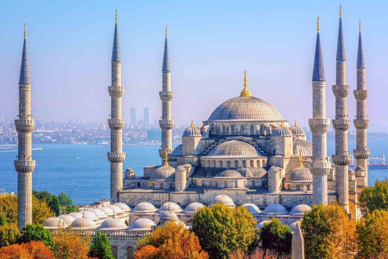 Istanboel: dagvullende rondleidingTour in het Frans met lunch en hotelophaalservice