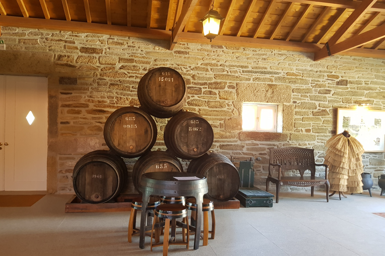 Valle del Duero: tour de 3 viñedos con almuerzo