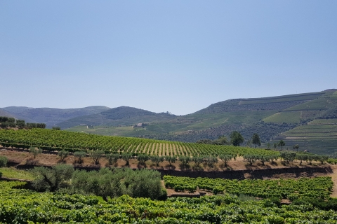 Vallée du Douro : visite de 3 vignobles avec déjeuner
