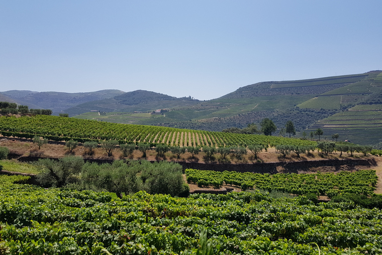 Porto: 3 Douro Valley Vineyards Tour med lunchMötesplats: 3 Douro Valley Vineyards Tour med lunch