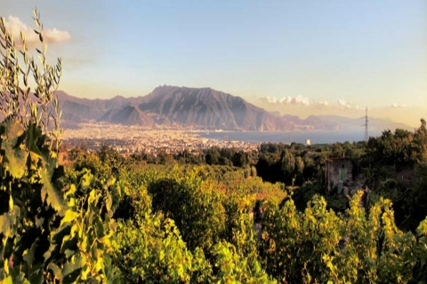 Ab Pompeji: Weinverkostungen am Vesuv und Mttagessen