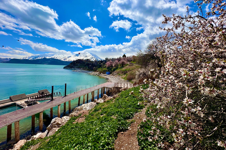4-Day Lake Van, Kars, Ani, Doğubeyazıt and Mount Ararad Tour All-included option (pick up/drop off Istanbul hotels