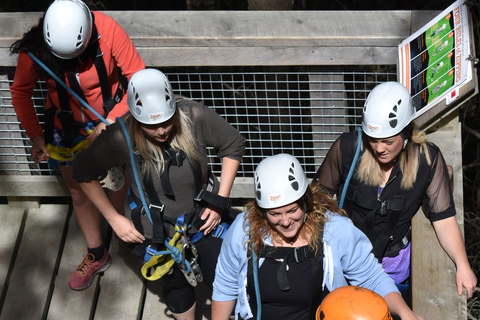 Queenstown : 1 heure de zipline avec 2 lignes et 21 mètres de chute