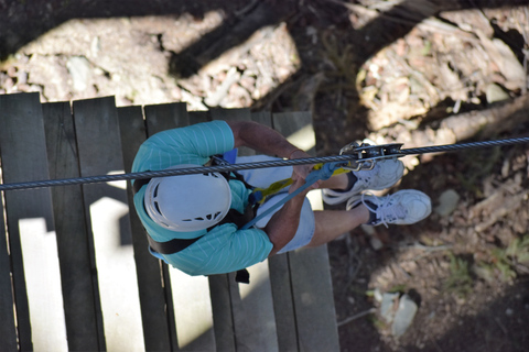 Queenstown: 1-timmes zipline-tur med 2 linor och 21-meters fallhöjd