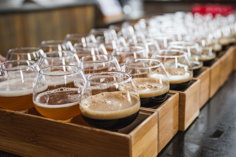 Boston: Guided Craft Brewery Tour with a Snack