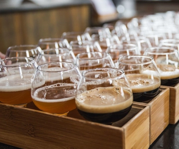 Boston: Guided Craft Brewery Tour with a Snack