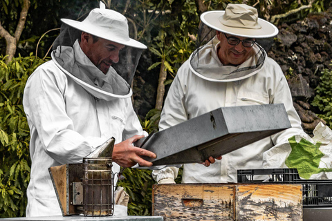 Ilha Terceira: Beekeeping Experience with Honey Tasting