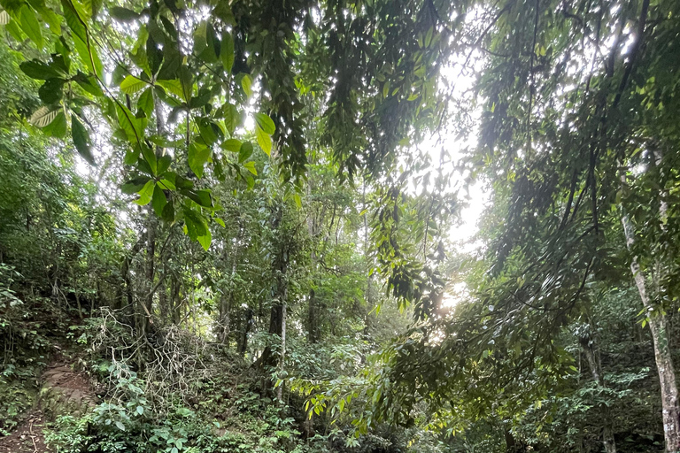 Puerto Viejo Talamanca: Quad Tour with 2 Waterfalls