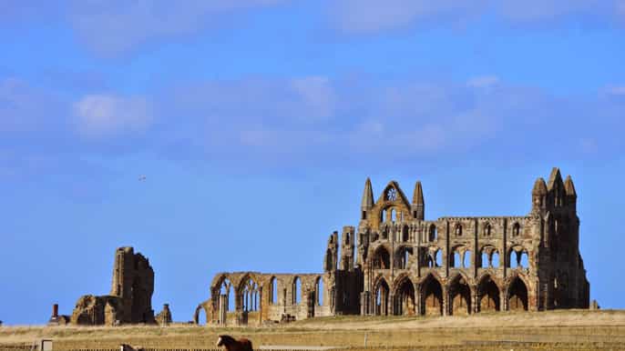 york yorkshire fullday guided walking and minibus tour