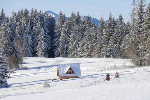 Zakopane: Wyprawa na skuterach śnieżnych i opcjonalne ognisko1-godzinna wycieczka – jednoosobowy skuter śnieżny