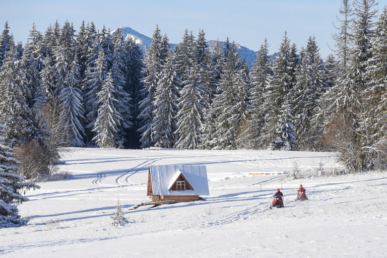 Zakopane: Expeditie sneeuwscooters en optioneel kampvuurTour van 1 uur - Enkele sneeuwscooter