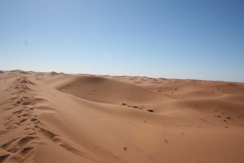 Galería de fotos para redes