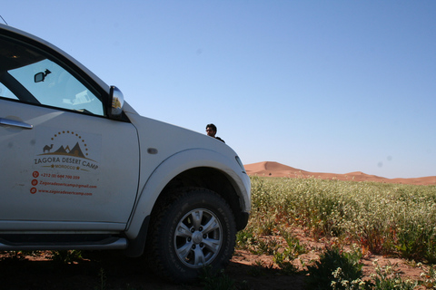 From Zagora: 2-Day Desert Tour to Erg Chegaga