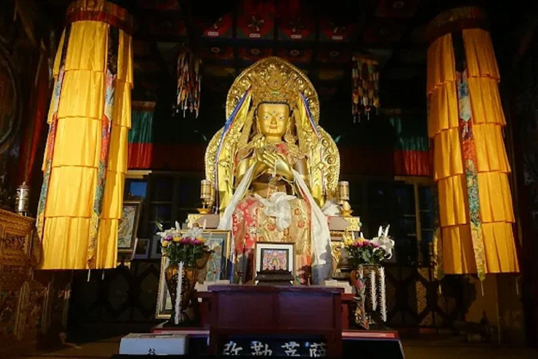 Hiroshima: Miyajima Island Spiritual & Scenic Walking Tour A Lovers : Romantic Walk Through Miyajima’s Sacred Beauty
