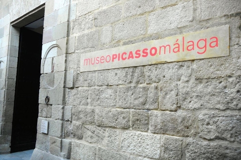 Málaga: Visite guidée du Museo PicassoTour en espagnol