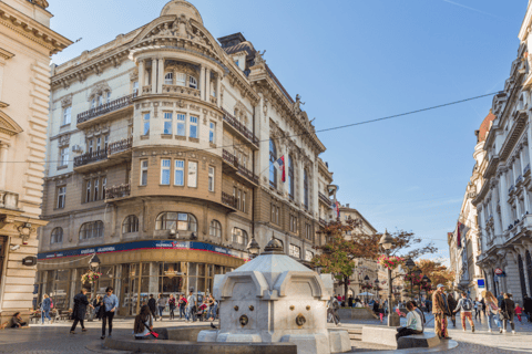 Belgrad Layover Tour: Vom Flughafen in die Stadt und zurück!Option 2