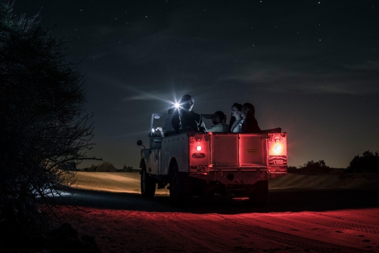Dubaï : safari nocturne et astronomieSafari & observation des étoiles en Land Rover Heritage