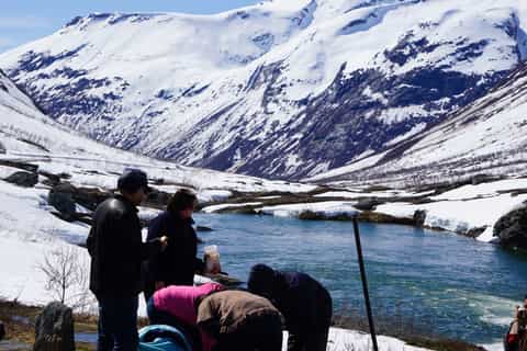 Geiranger: Prywatna wycieczka jednodniowa Briksdal z fiordami i scenerią