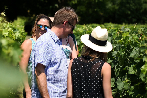 From: Dijon/Beaune: Burgundy Region Winery Tour with Lunch From Dijon
