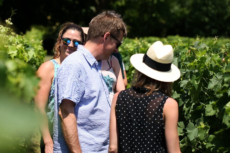 From: Dijon/Beaune: Burgundy Region Winery Tour with Lunch From Dijon