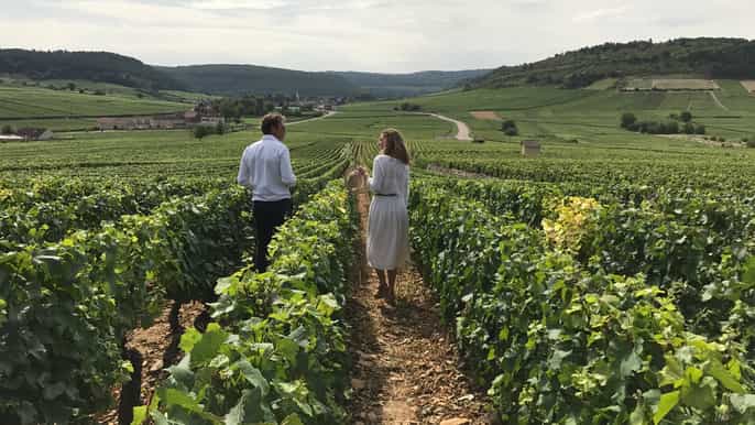 visite de vignobles en petit groupe de dijon à beaune avec déjeuner