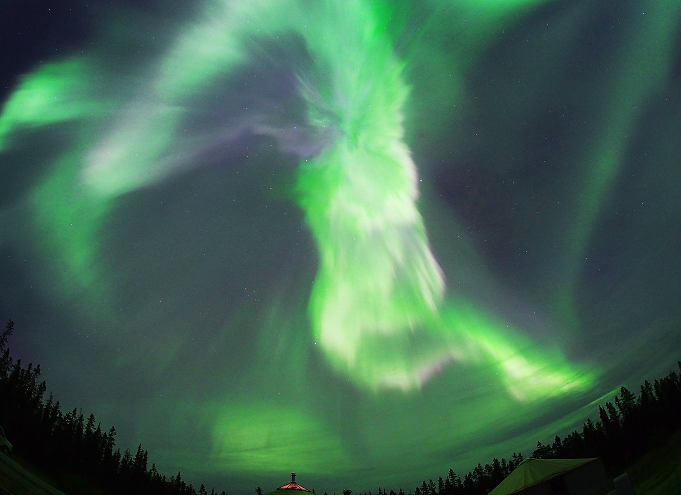 Yukon: Aurora Borealis aftentur for at se den sene aften