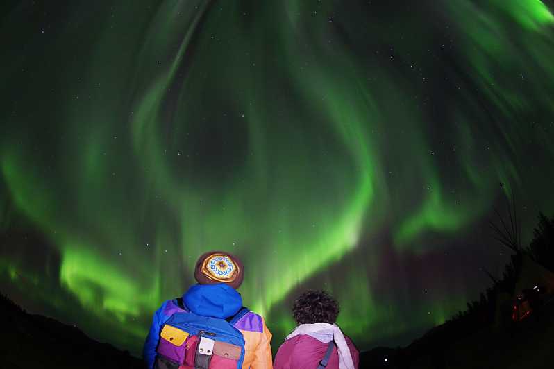 Yukon: Aurora Borealisin iltakatselu | GetYourGuide