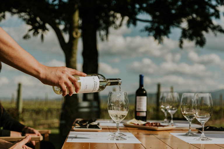 Au départ de Bilbao : La Rioja, un voyage à travers les vignobles et la traditionDepuis Bilbao : La Rioja, un voyage à travers les vignobles et la tradition