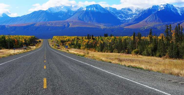 Kluane National Park Full Day Tour GetYourGuide