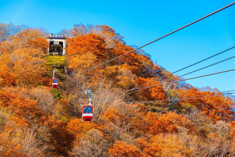 From Tokyo: Nikko Day Trip with Toshogu Shrine and Waterfall