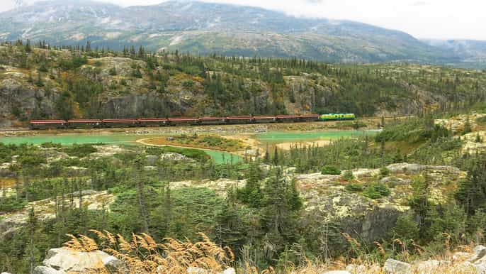whitehorse white pass train and skagway full day tour