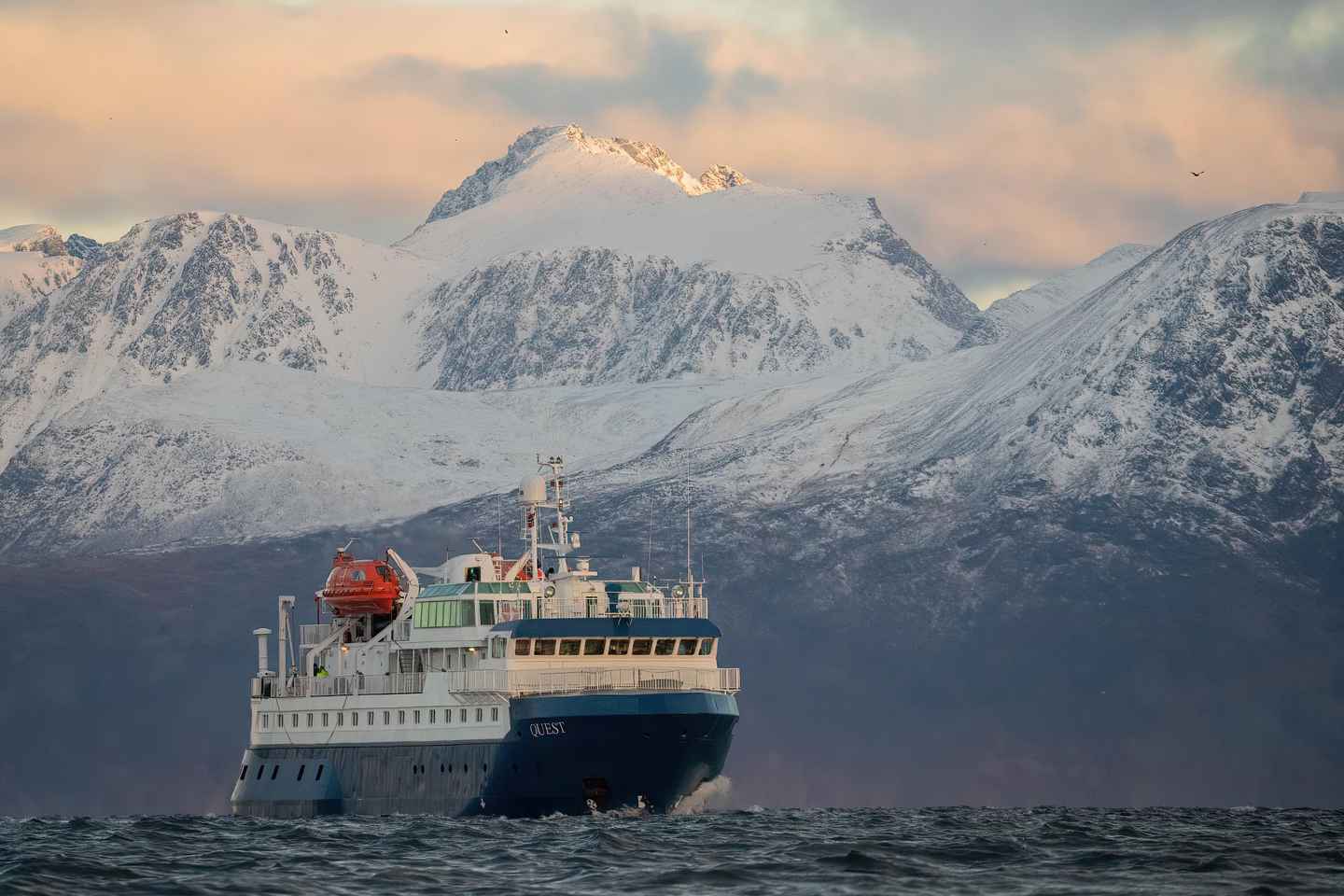 Tromsø: 24hr Northern Lights & Whale Watching Cruise