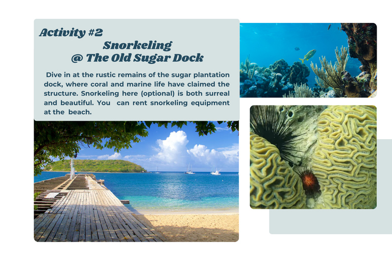 Vieques Beach & BioBay With Ferry & Beach Transfer