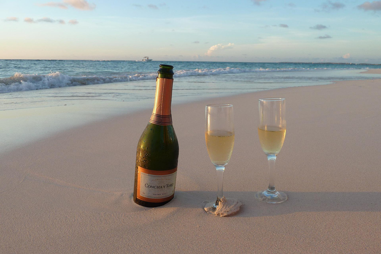 بربادوس: جولة في الجزيرة مع الكهف والقرود وركوب قارب