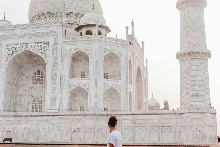 Tajmahal met Mausoleum voorrangsticket met gidsTaj Mahal voorrangstoegang met gids