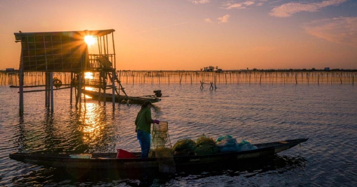 Hue : Excursión de medio día a la Laguna Tam Giang SunSet | GetYourGuide