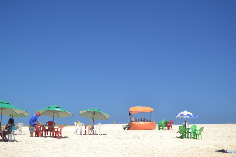 Salvador North Shore: Beach Hopping Tour to Praia do Forte