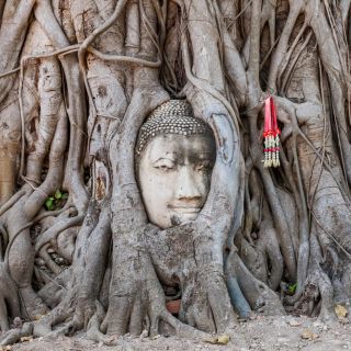 From Bangkok: Ayutthaya Private Full-Day UNESCO Trip