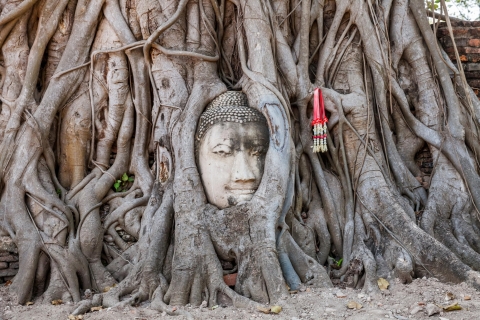Z Bangkoku: Ayutthaya, prywatna całodniowa wycieczka UNESCO