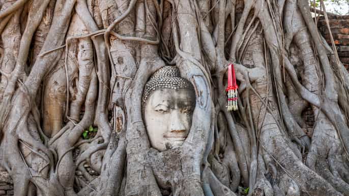 ayutthaya tour di 5 templi unesco da bangkok