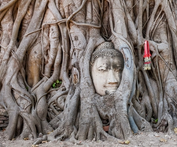 Au départ de Bangkok : Excursion privée d'une journée à Ayutthaya pour l'UNESCO