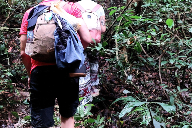 Chiang Mai: esperienza di trekking con pernottamento in evidenza