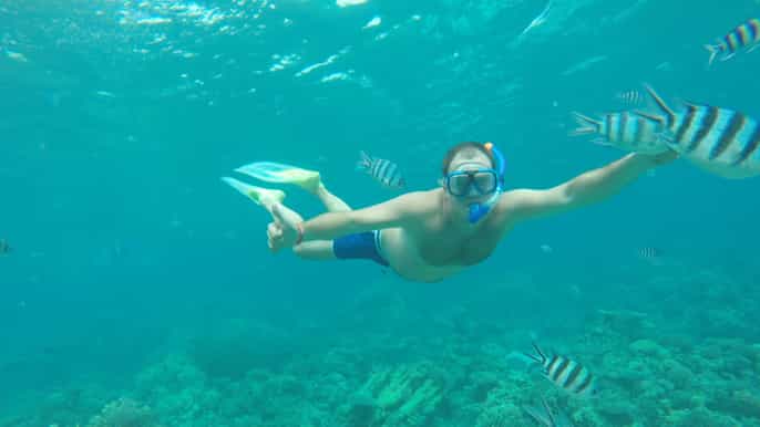 baía de makadi excursão de mergulho com snorkel e ilha de mergulho