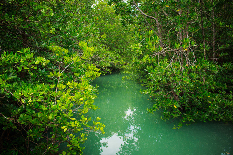 Eco Aventura de 4 Aguas