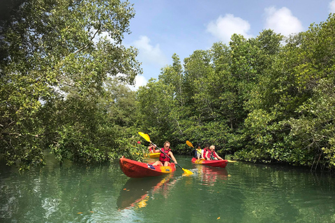 Eco Aventura de 4 Aguas