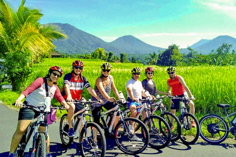 Jatiluwih (sito UNESCO): tour di 2 ore in bici elettricaTour esclusi i trasferimenti dall&#039;hotel